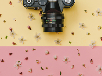 Где провести выходные в Киеве: 5 самых ярких мероприятий