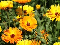 Куда пойти в июле: гид по культурным событиям Киева