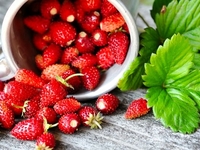 Сезонные ягоды, которые улучшают здоровье