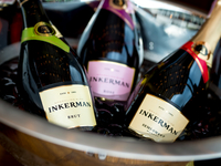 Что, если бы известные женщины были вином?