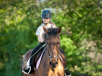 Где покататься на лошадях в Киеве?