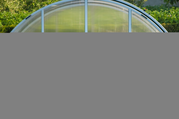 Татьяна Фортушная