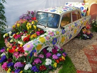 «Ретро-мобили, передвижная дискотека и сладкие автобусы» - в Киеве пройдет фестиваль «На колесах»