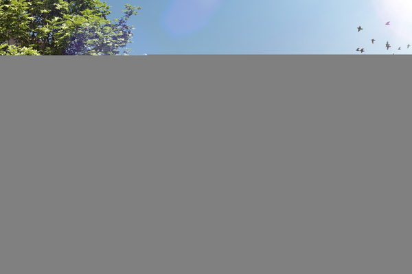 пресс-служба