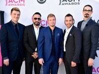 В США на концерте Backstreet Boys пострадали 14 человек