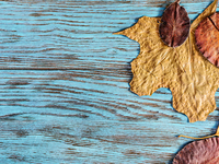 Выходные в Киеве: самые яркие мероприятия 7 - 9 сентября