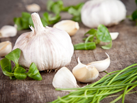 Как хранить чеснок: проверенные способы от опытных хозяек