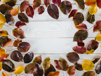 Выходные в Киеве: самые яркие мероприятия 21 – 23 сентября