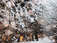 Погода на Крещение 19 января 2019