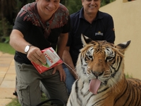 "Мир наизнанку": Дмитрий Комаров пытался приручить тигра