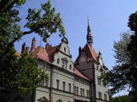 ТОП-5 самых захватывающих замков Украины, которые стоит увидеть