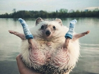 Работа для путешественника: 7 лучших профессий