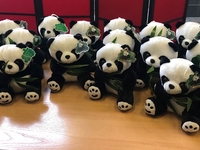 Пандочки и фотосессия для милых дам: на Певческом поле поздравят с 8 марта