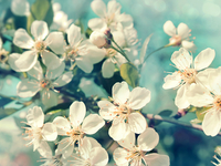 22 марта - какой сегодня праздник и чего нельзя делать