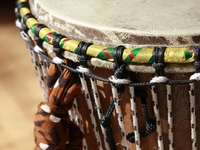 8 экзотических музыкальных инструментов