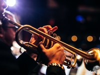 Для ценителей: джазовые концерты июля в Caribbean Club Concert Hall