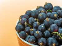 Черная смородина: полезные свойства и противопоказания