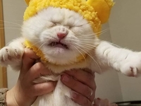 "Бесишь!" Что выводит знаки Зодиака из себя