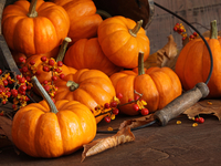 Тыква: Польза и вред для организма