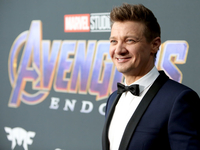 Экс-жена звезды "Мстителей" Джереми Реннера раскрыла неожиданные причины развода