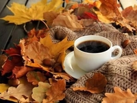 "Вымывает” ли кофе кальций из организма?