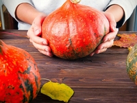 Со вкусом осени: ТОП-4 действенных масок для лица из тыквы