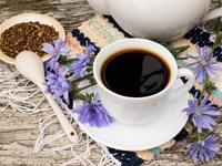 Полезные свойства цикория