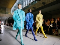 Королевский книксен: Назван главный цвет 2020 года