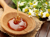 Полезные свойства меда