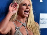 Бритни Спирс показала фигуру в бикини: видео