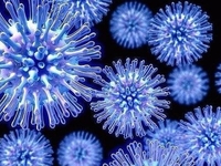 Смертельный коронавирус: что известно о 2019-nCoV?