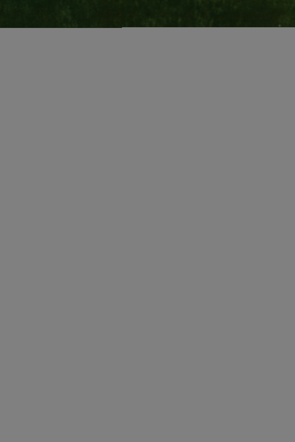 Олег Скрипка и Кристина Соловий презентовали песню и клип "Зима"