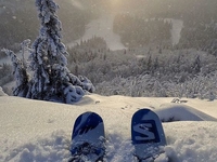 Гороскоп на 26 января 2020 для всех знаков Зодиака