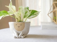 Лунный календарь для комнатных растений на март 2020