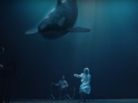 Группа The Hardkiss выпустила завораживающий клип на песню "Косатка" - видео