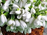 Гороскоп на 7 марта 2020 для всех Знаков зодиака
