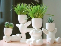 Лунный календарь для комнатных растений на апрель 2020