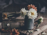 Гороскоп на 14 мая 2020 для всех знаков Зодиака