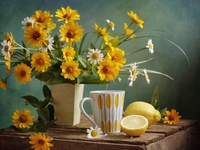 Первый месяц лета: Сколько выходных и праздничных дней будет в июне 2020