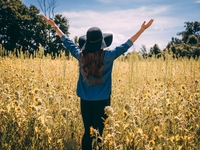 Травы на Троицу: их значение и сила