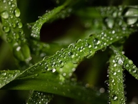 Запреты дня 24 мая 2022: что нельзя делать на Мокия Мокрого