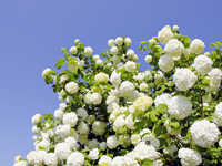 Запреты дня 25 мая 2020: Чего категорически нельзя делать в Епифанов день