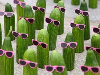 Запреты дня 27 мая 2020: Чего категорически нельзя делать на Сидора Огуречника