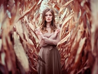 Запреты дня 29 мая 2020: Чего категорически нельзя делать на Федоров день