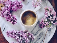 Гороскоп на 1 июня 2020 для всех знаков Зодиака