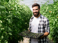 Запреты дня 2 июня 2020: Чего категорически нельзя делать на Фалалея-огуречника