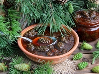 Какими полезными свойствами обладает варенье из шишек