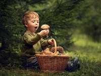 Как не отравиться грибами летом