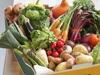 Как обработать овощи от нитратов