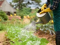 Запреты дня 19 июня 2022: что нельзя делать на Лариона